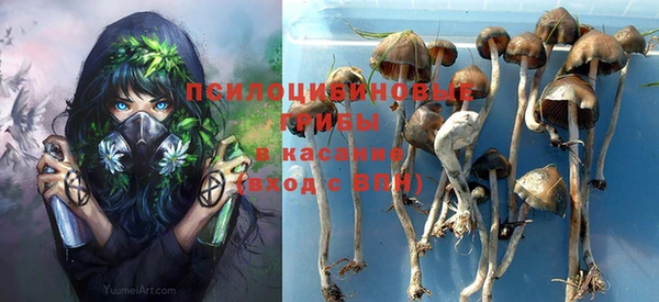 прущие крисы Краснослободск