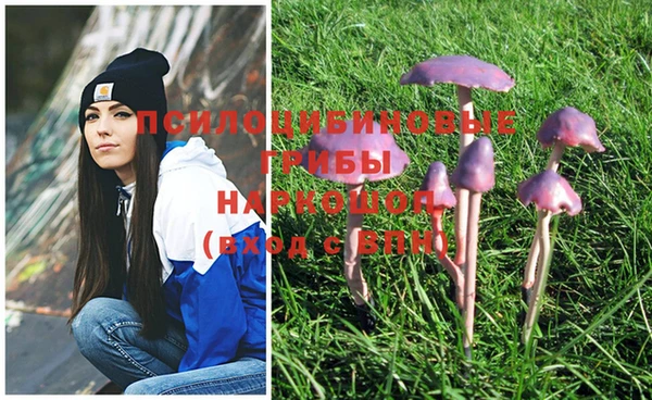 jwh Краснотурьинск