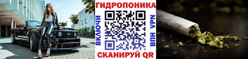 Каннабис ГИДРОПОН  Купить где  Павловский Посад 